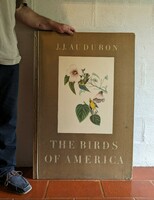 J.J. Audubon- The Birds Of America    Lipcsei kiadás (1972) német és angol nyelvű