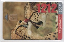 Hungarian phone card 1232 1999 1212 cheetah 20,000 Pcs.