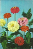 Postcard = 3d = flowers