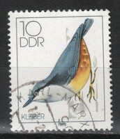 Birds 0253
