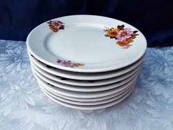 8 Plates with lowland cakes