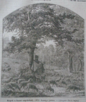 D203435 p289 shepherd of Somogy -somogy etc. Bakony - woodcut from an 1866 newspaper