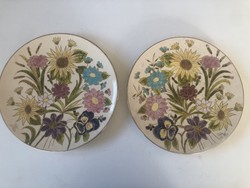 Schütz cilli pair of special and rare majolica wall plates