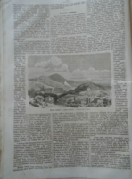 D203419 p229 Budai zugliget - csillavölgy - Normafa - Budapest - woodcut and article from 1866 newspaper