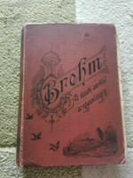 Alfred Brehm - Az északi sarktól az egyenlítőig - Antik régiség - Régi könyv