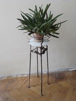 Antik szecessziós kovácsoltvas fém virágtartó növény állvány posztamens, porcelán tányér, különleges