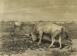 1S184 Doby Jenő rézkarc : Vastagh Géza - "Ki a legény a csordában"