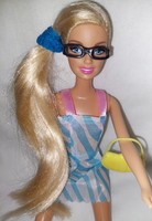Mattel Barbie Doll + Accessories
