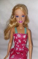 Mattel Barbie Doll + Accessories