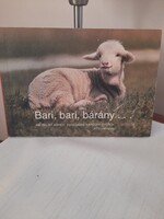 Bálint Ágnes  Bari bari bárány