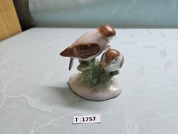 T1757 Aquincum madár pár
