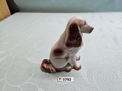 T1792 Hollóházi szetter