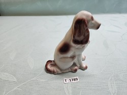 T1789 Hollóházi szetter