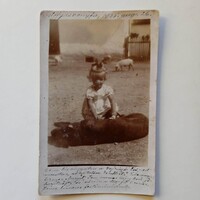 D203982 Fotó postázva - Gajzágó Éva- kislány simogatja a kutyáját - OSTFFYASSZONYFA 1920-30's