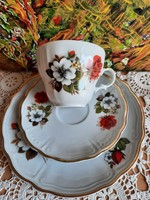 Bavaria wunsiedel German porcelain, tea and coffee breakfast set
