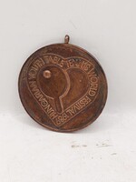 Magyar ifjúsági asztalitenisz világfesztivál 1989-es bronz érem,6cm. 8319