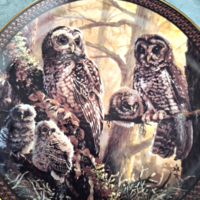 Bradex porcelain decorative plate owl family