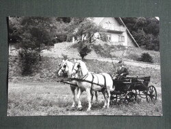 Képeslap,Szilvásvárad,Lipicai kettes fogat látkép,részlet, 1976-
