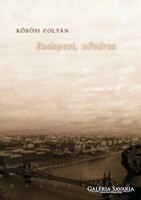Kőrösi Zoltán Budapest, nőváros