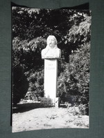 Képeslap,Vaja, Vay Ádám szobor látkép,részlet,1976-