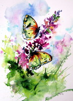 Beautiful butterfly II - watercolor painting /lepke II- akvarell festmény