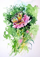 Beautiful butterfly III - watercolor painting /lepke III- akvarell festmény