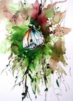 Beautiful butterfly - watercolor painting /lepke- akvarell festmény