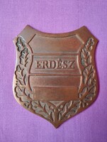 Erdész. Bronz jelvény.