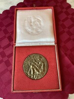 Bronz plakett 1917-1967 suszter.