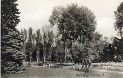 645 --- Futott képeslap   Miskolc-Tapolca  - Park részlet