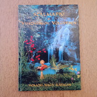 Homoki-Nagy Katalin: Szalmafiú a Visszhangok Völgyében (nagyméretű meseregény)