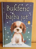 Holly Webb: Bukfenc bajba jut