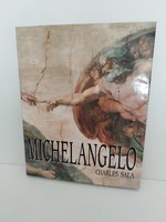 Michelangelo könyv