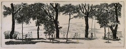 Duray Tibor (1912-1988): BALATONPART