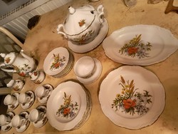 Bavaria Mitterteich ritka porcelan készlet!