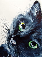 Black cat - watercolor painting /Fekete macska- akvarell festmény