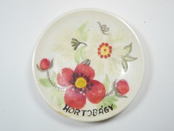 Retro régi kézzel festett akasztható műanyag falitál falitányér - Hortobágy turista emlék, szuvenír