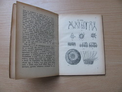 A kis kosárfonó (1928) Sebestyénné Stetina Ilona: gyakorlati alapmű