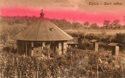 756 --- Postatiszta retro képeslap:  Tófalu - Kerti méhes