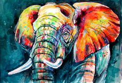 Colorful majestic elephant - watercolor painting/  Színes fenséges elefánt - akvarell festmény