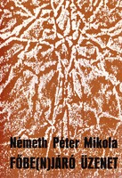 Németh Péter Mikola: Főbe(n)járó üzenet (dedikált)
