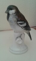 Régi Volkstedter porcelán madár