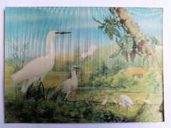 3D képeslap - "Madarak" - 1969.