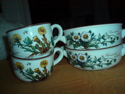 Botanica porcelain 2 small cups with 2 saucers