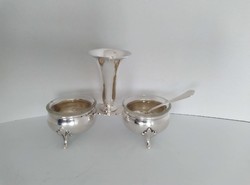 Silver Spice Container with Toothpick Holder