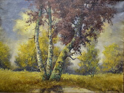 Vári Vojtovits Zoltán (1890 - ?) ŐSZI ERDŐ RÉSZLET