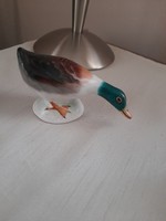 Vadkacsa Bodrogkeresztúr