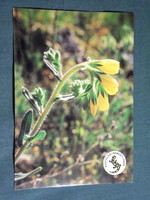 Képeslap,Aggtelek nemzeti park,Jósvafő,Tornai vértő védett nővény látkép,részlet,1996-