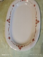 Csipkebogyós nagy tányér