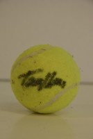 Dedicated tennis ball a009